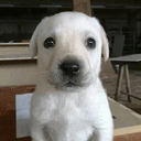 Jim