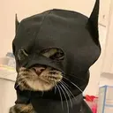 CATMAN