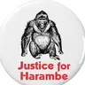 HARAMBE
