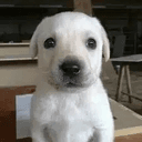 Jim