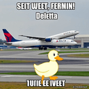 DLTDUCK