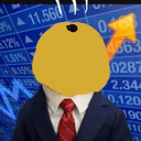 NDI500