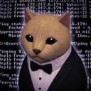 DNS