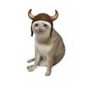 THECOIN