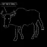 BULL
