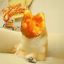 Dogeeto