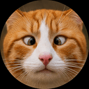 SASI CAT