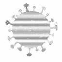 VIRUS