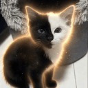 YINYANG