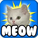 MEOW