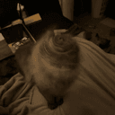 DRILLCAT