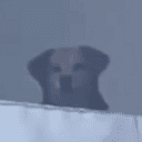 PUP