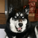 ChiliDog