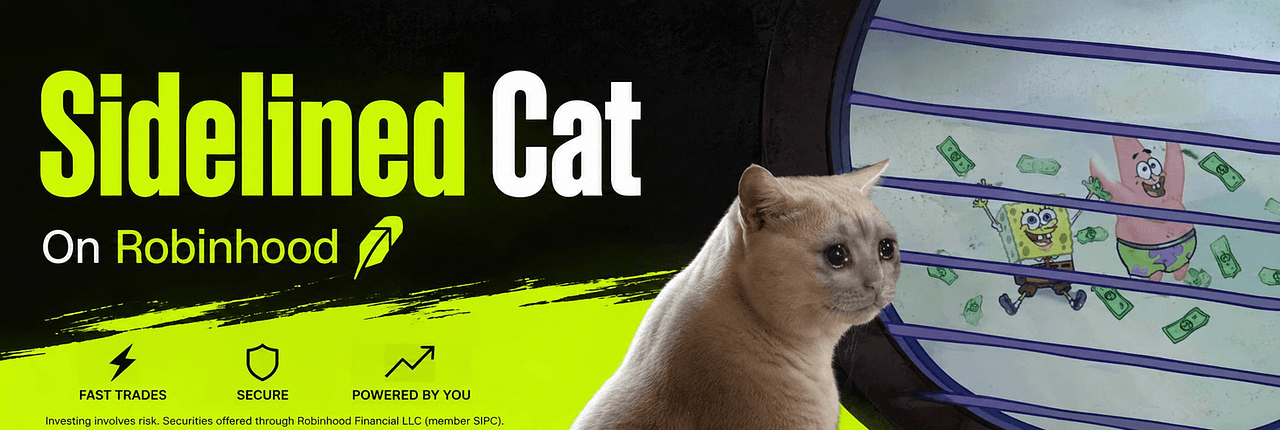 SIDELINED CAT Banner