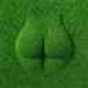 grASS