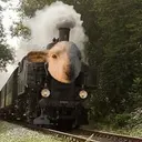traingoat