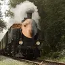traingoat