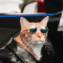 DANKCAT