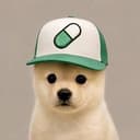 PUP