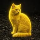 YELLOWCAT