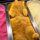 ICECREAM