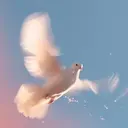 Dove
