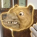 Thylacine