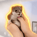 куся