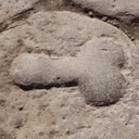 Pompenis