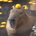 CAPY