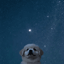 Ad Astra
