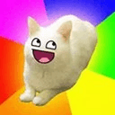 lolcat
