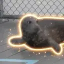 Benny