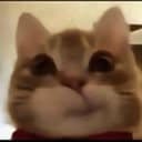 tina