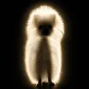 glowdog