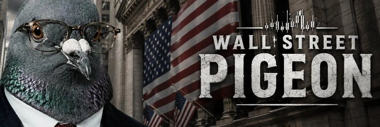 PIGEON Banner