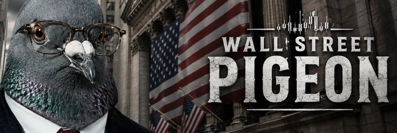 PIGEON Banner