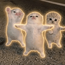 Dancingcats