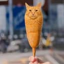 $CORNDOG