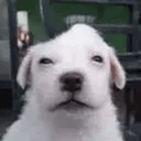 deg