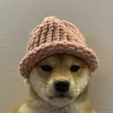 WIF