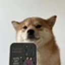 Selfie