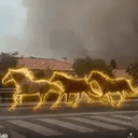HORSES