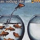 GOLDFISH