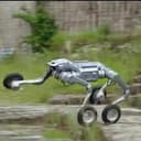ROBO