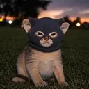 Crime