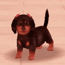 Nintendogs