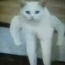 CATENEGER