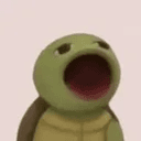 Popturt