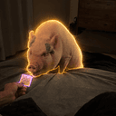 Piggsy